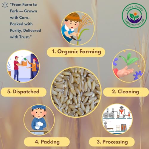 Image of Eywa Seeds & Exports Pvt Ltd Organic Bansi Bhaliya Wheat Flour (5 Kg) For Eating And Cooking |Bansi Bhaliya Daane Atta Produce Of India From Organic Farms |