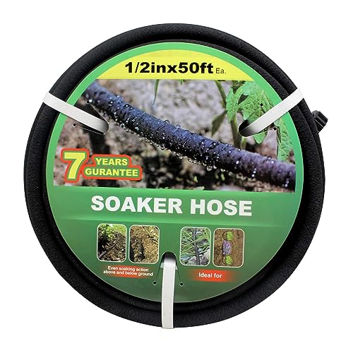 Taisia 1/2 \[J[z[X 15tB[g 30tB[g 75tB[g 100tB[g K[f\[J[z[X vbVIpt [hhbvz[X 70%ߐ ϋv \[J[z[X /Őp (1-2-50tB[g)