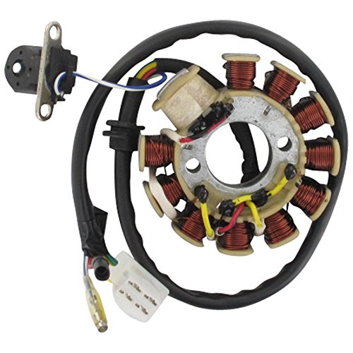Ankerplatte mit Pick-up aussenliegend DC 11 Spulen 6 Kabel 1x4 und 2x1 polig 4Takt 125 ccm Rivero (Rivero) New Phoenix 125