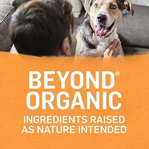 Beyond Purina Organic Wet Dog Food, Organic Chicken & Carrot Adult Recipe Ground Entrée with Broth - (Pack of 12) 13 oz. Cans Beyond Purina Organic Wet Dog Food Organic Chicken Carrot Adult Recipe Ground Entree with Broth Pack of 12 13 oz Cans