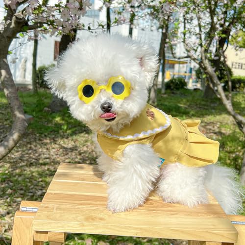 Vestido princesa para perros pequeños talla XL amarillo miniatura 6