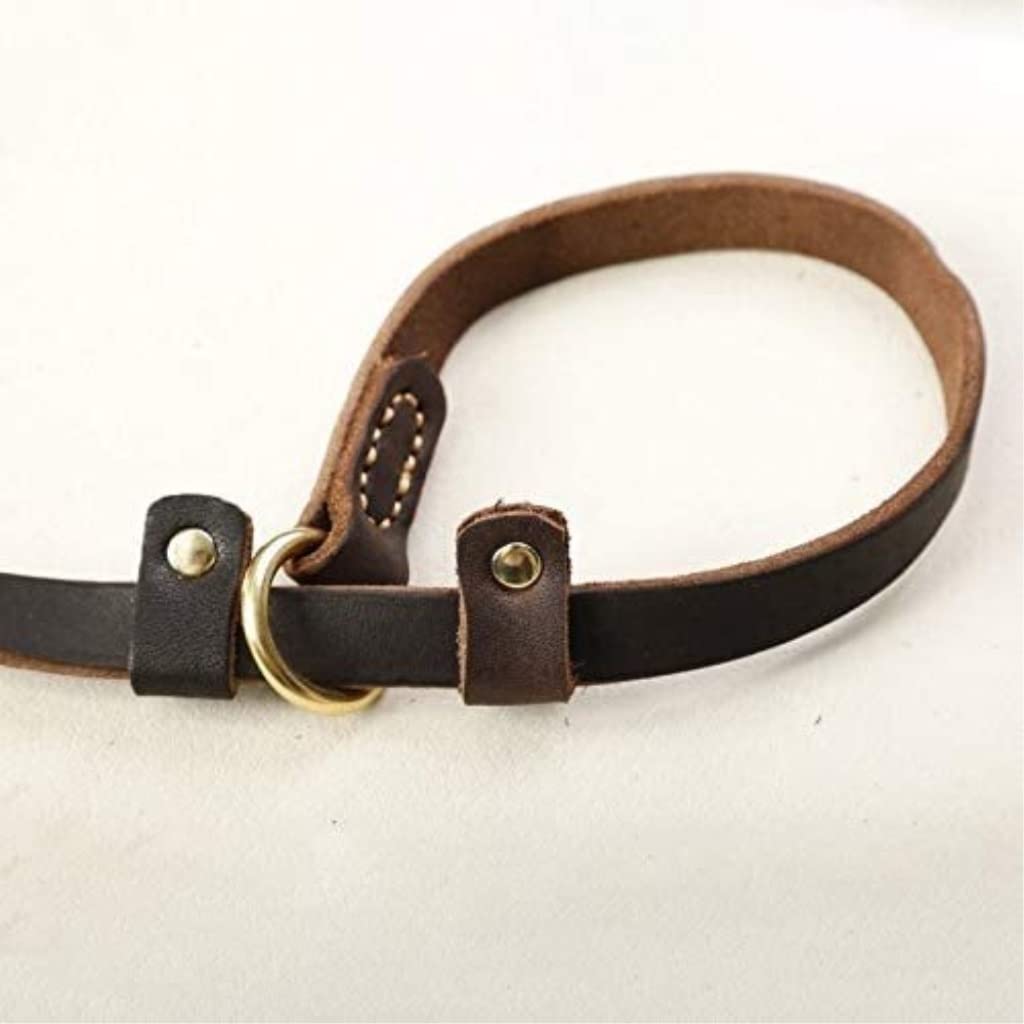 Correa Perro Correr Correa Grande para Perro, Collar Deslizante para Mascotas, Cuerda de tracción Cuero Genuino para Perros Antideslizantes Reforzada(1.8 * 180CM)