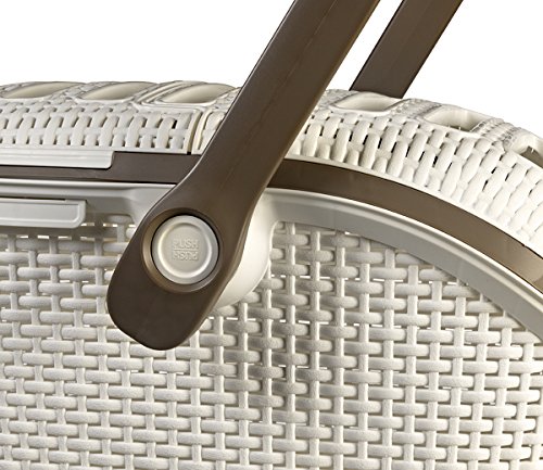 Curver Pet Transportbox L: 51 cm B: 38 cm H: 33 cm weiss