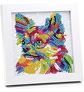 AyuqEjus 5D Diamond Painting Kits for Kids with 7.1"X7.1"Wooden Frame, Diamond Art for Kids Ages ...