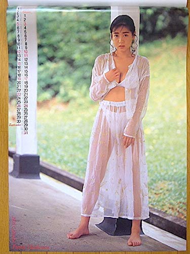 Amazon | 1993年 細川ふみえ カレンダー B | カレンダー | 文房具
