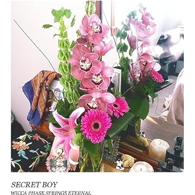 Secret Boy