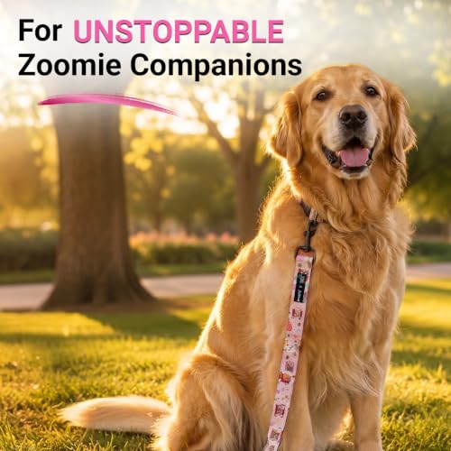 Image of Bowlers Dog Leash for Small, Medium & Large Dogs | Owl & Pink Design | Durable Nylon Pet Walking Lead | Strong Metal Hook | Comfortable Grip for Daily Walks & Training