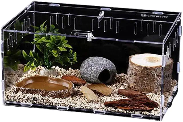 CiCixixi Mini Terrarium 30x20x15 cm für Chamäleon, Reptilien & Spinnen