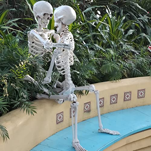 image for SUNREEK 5.4ft/165cm Halloween Full Body Skeleton, Plastic Human Skelet