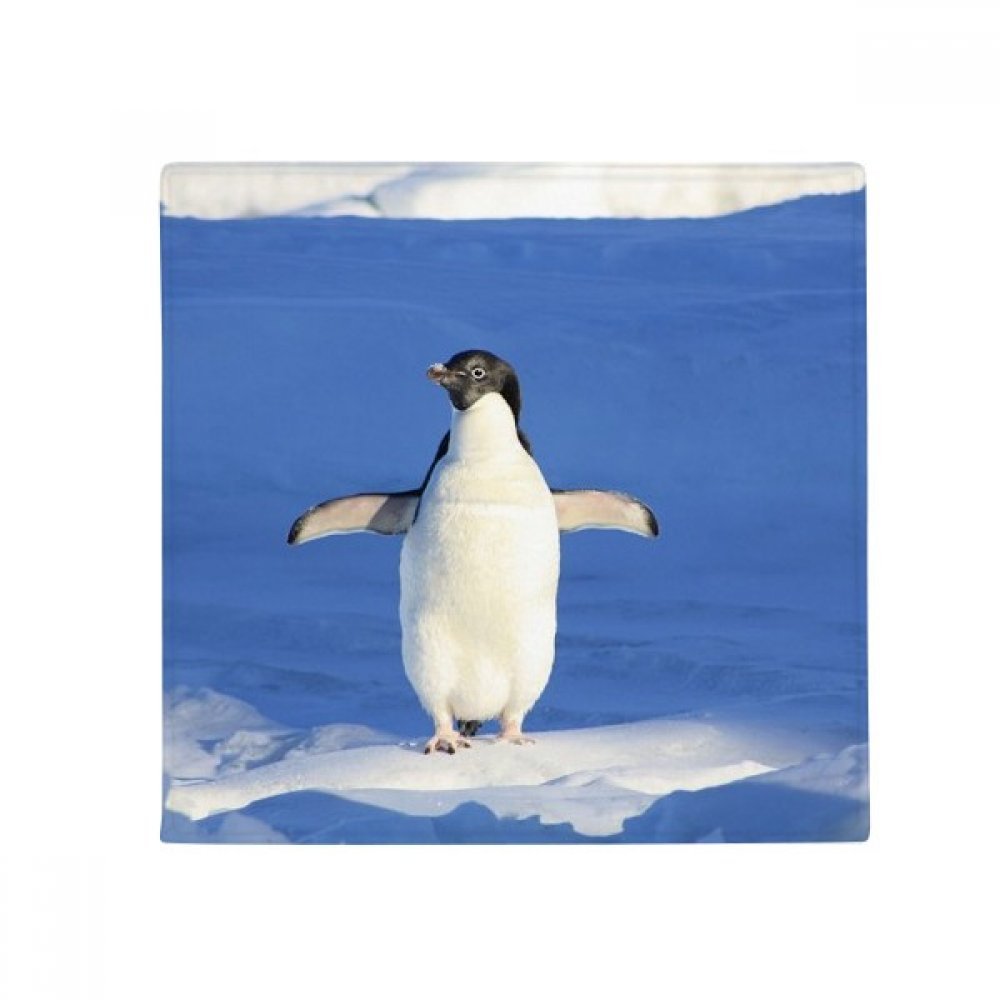 Tapis pingouin antidérapant de 50x50 cm pour sol et animaux