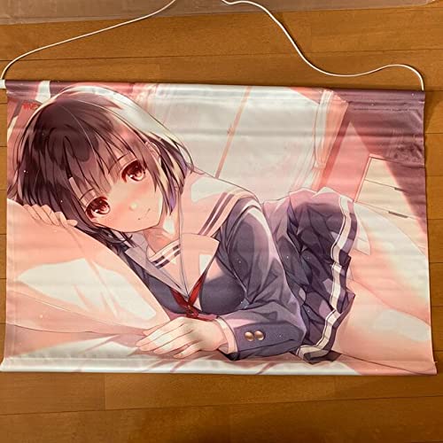 Amazon.co.jp: 冴えない彼女の育てかた アニメイト全巻連動購入特典 