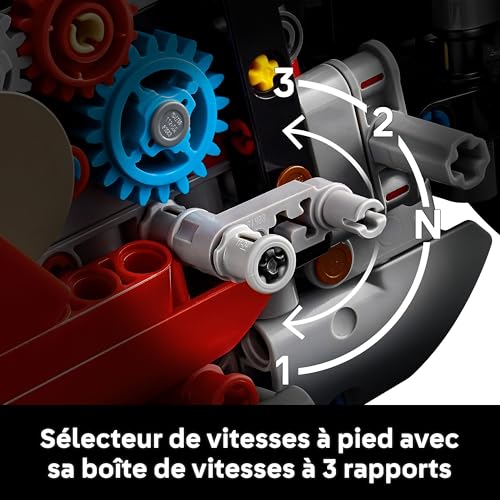 LEGO Technic La Moto Ducati Panigale V4 S - Moto à Construire pour Adulte, Homme et Femme - Blocs de Construction de véhicule - Idée de Cadeau pour Papa 42202