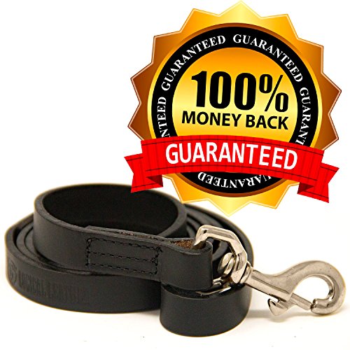 Logical Leather 4 Foot Dog Leash - Best For Training - Heavy Full Grain Leather Lead - Black #TOP3