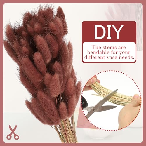 Queue de Lapin Herbe de la Pampa Naturel Fluffy | 80 Tiges de Fleurs Séchées Déco Marron