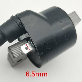 Amazon.com: Canyoyi Ignition Coil Compatible with Kawasaki