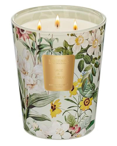 MSENSE Sage Citrus Scented Candle Home Decor Extra Large 3 Wick Natural Soy Wax Candles for Home Scented Christmas Candles Gift for Winter Holiday 150 Hours Long Lasting Slow Burning 35 OZ