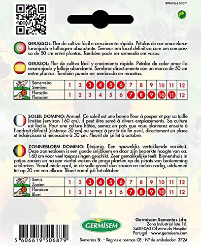 Germisem EC1533 Domino Zonnebloemzaden 2 g - Afbeelding 3