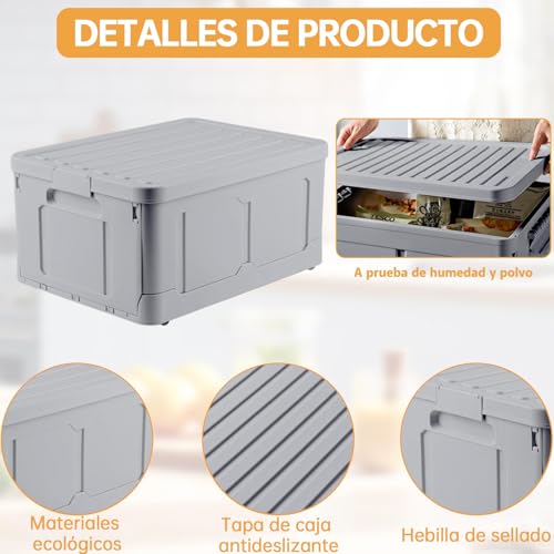 La Mejor Lista de Cajas de Plastico Bodega Aurrera para comprar hoy. 24 Imagen adicional