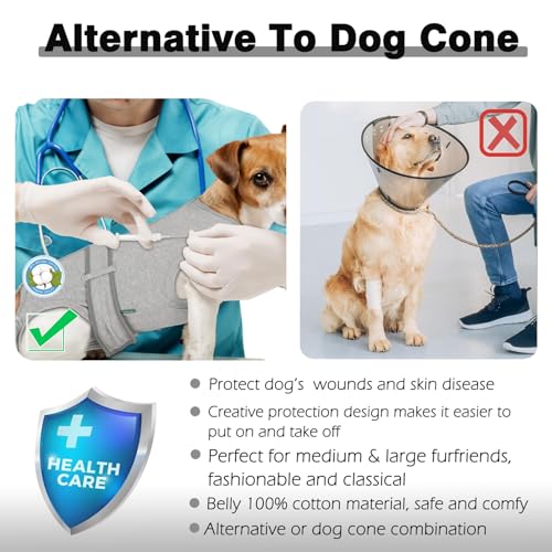Image of Dog Recovery Suit,Combed Cotton Male Neuter Female Spay Surgery Recovery Large Suit,Full-Body Protection Surgical Shirt,Grey L