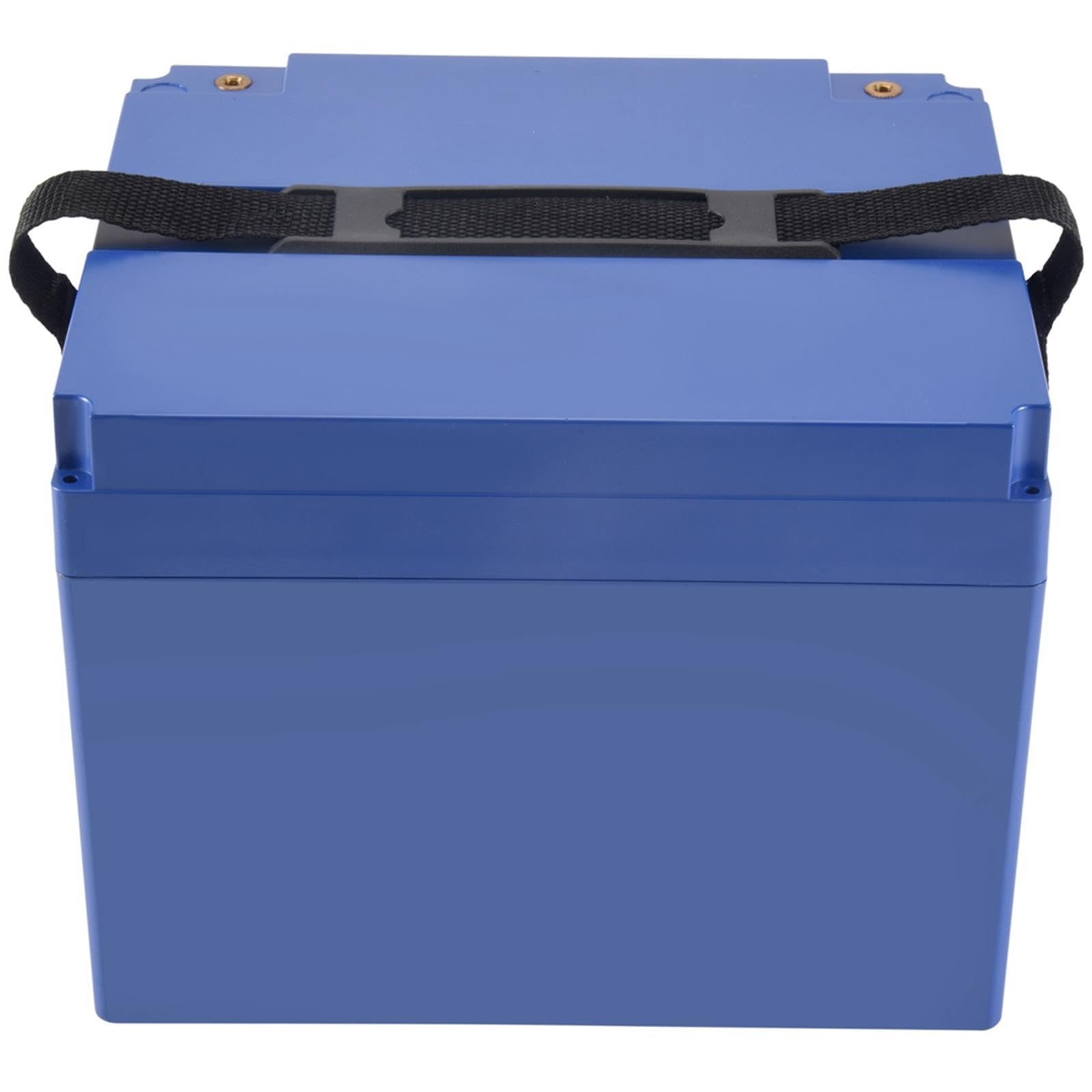 Amagogo Scatola per Batteria elettrica, Supporto per Batteria, Professionista della Protezione con Manico, Scatola di conservazione della Batteria