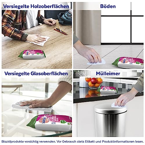 Sagrotan Allzweck-Reinigungstücher Blütenfrische und grüner Apfel, gegen 99,9% der Bakterien, 6er Pack (6 x 60 Stück)