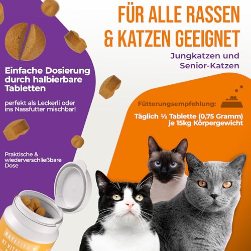 NatiVivo K1 Vitamin B Komplex Katze – hochdosierte Hunde Vitamine mit Vitamin B1, B12 & Folsäure Vitamine für Katzen 120 Premium Tabletten Made in Germany