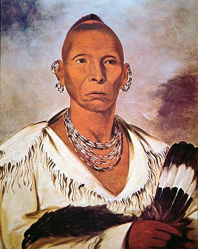 Toile Black Hawk George Catlin 58 x 90 cm impression haut de gamme