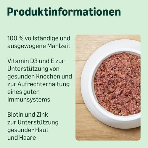 Lifelong by Amazon Katzenfutter, nass, Pastete mit Lachs, 100 g, 16 Stück