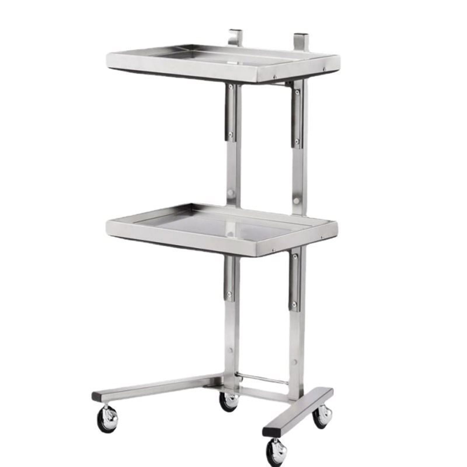 Salon Trolley Cart, 2-Tier Hairdressing Trolley Salon Rolling Cart Stainless Steel Salon Storage Stand with Trays and Wheels for Bedroom Tattoo Shop,Spa Storage Systems 40 x 30 x 86cm