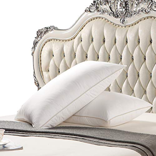 Premium Goose Down Pillow - King Size - 750 Fill Power - 1200 Thread Count 100% Egyptian Cotton Cover, White (Soft - Medium Firm)