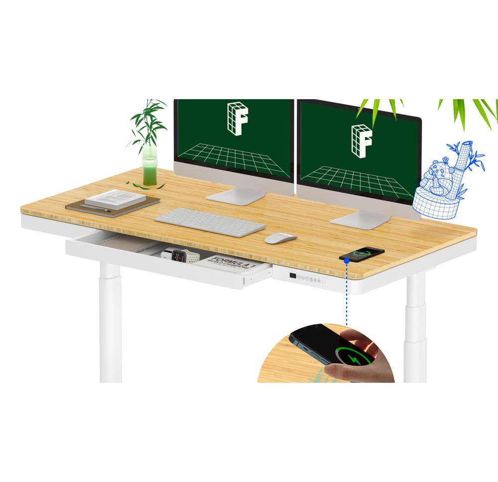 Amazon.com: FLEXISPOT Q8 55