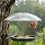 Gtongoko Platform Bird Feeder for Outdoors Hanging with 12” Weatherproof Dome, Squirrel-Resistant Metal Tray, 2 Lbs Seed Capacity, 360° Multi-Bird Feeding, Green