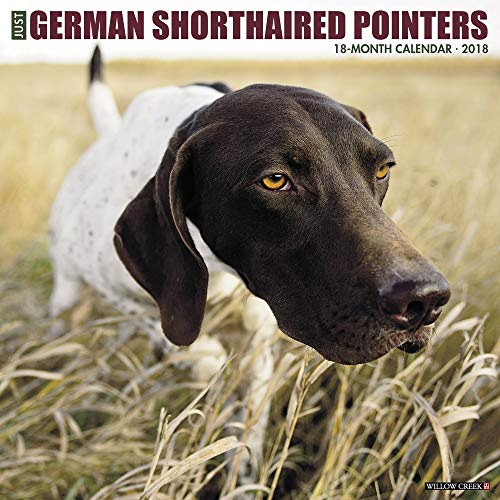 Just German Shorthaired Pointers 2018 Calendar