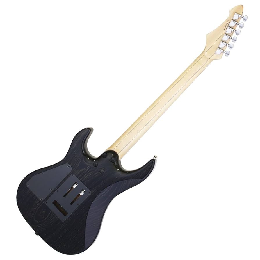 Amazon | AriaProII アリアプロII MACシリーズ ソフトケース付