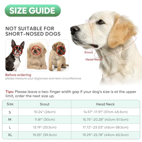 Licol pour chien avec lien de sécurité pour petits et grands