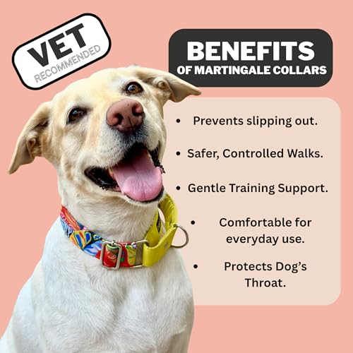 Image of Dog-O-Bow Black Multi-Stripe Martingale Dog Collar, Durable, Comfortable & Adjustable Training Collar (Extra Large)