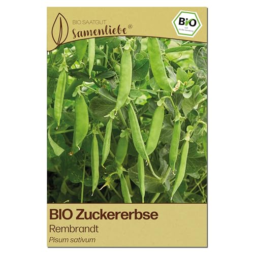 Samenliebe BIO Zuckerebsen Samen | Erbse Rembrandt - robust & kletternd - samenfestes BIO Saatgut