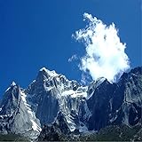 YUEHAO 18本セット ワイヤー 端子除去ツール カーワイヤー ハーネスプラグ 端子取り出し ピックコネクタ 圧着ピン バックニードル 除去ツール 検査/修理 保護端子