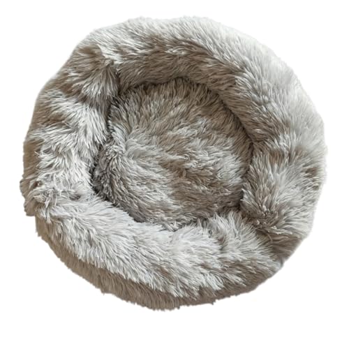 Fiozwea Eh^ybgxbh ӂӂh[ic^~p\t@xbh LpBӂӂŒgA~ߌʂAϊ \iTCYWJLxjB (A,a90CM)