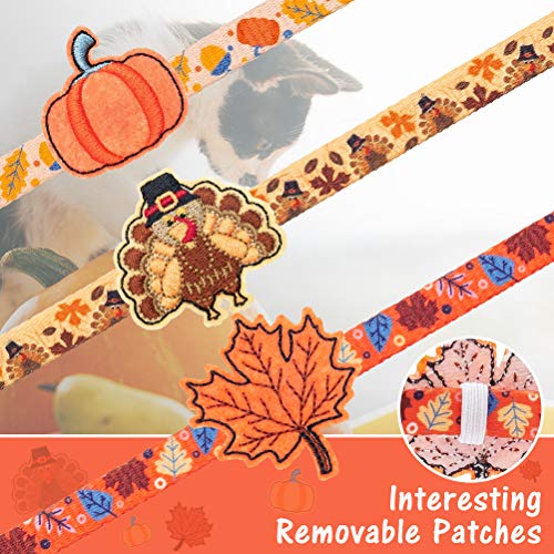 PUPTECK Autumn Cat Breakaway Collar with Bell - 3 Pack Adjustable Kitty Collars with Autumn Pattern and Cute Turkey… - Image 6