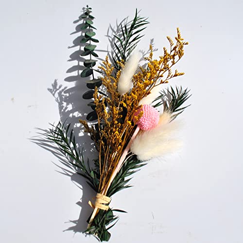 Caiyun Manor 20 Pcs Billy Ball Flower Craspedia Globosa Benth Australian Drum Stick Chrysanthemum Eternal Life Flower For Home Wedding Party Themed Decorations （Pink） #TOP3