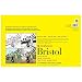 Strathmore (342-117 STR-342-117 24 Sheet Vellum Bristol Pad, 11 by 17"