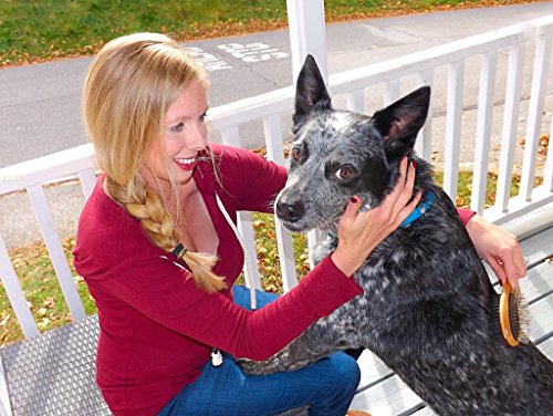 Double-Sided-Dog-Brush-for-Long-or-Short-Haired-Dogs-and-Cats-Natural-Bamboo-Eco-Friendly-Pet-Grooming-Dual-Sided-Pin-and-Bristles-for-Deshedding-Hair