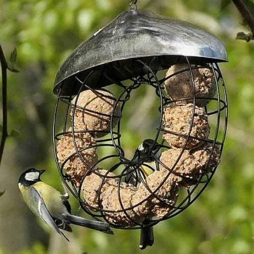 Garden Mile® Deluxe Hanging Donut Suet Fat Ball Bird Feeder with 6 x