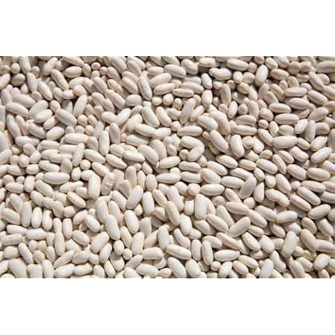 Organic Cannellini Beans 5 lbs by OliveNation Cover
