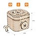 Rowood 3D Puzzles for Adults, Wooden Mechanical Gear Model Kits for Age 14+ - Treasure Box