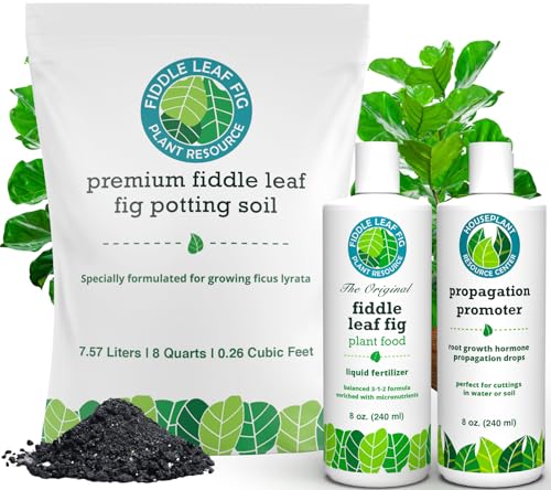 Fertilizador Líquido Fiddle Leaf Fig Propagation Bundle