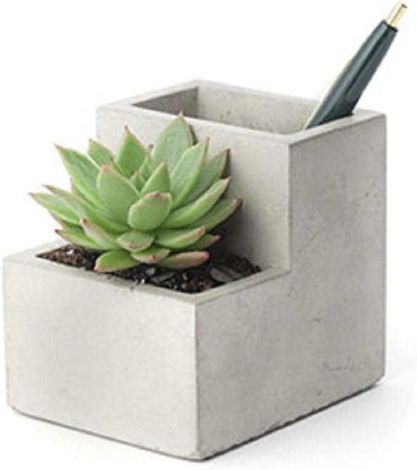 KIKKERLANDConcrete Desktop Planter, Small (PL02-S)