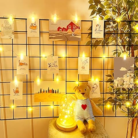 Dalugo 20 LED Photo Clip String Lights Cover