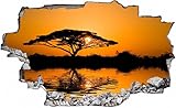 Safari Afrika Savanne Sonnenuntergang Wandtattoo Wandsticker Wandaufkleber C0240 Größe 40 cm x 60 cm
